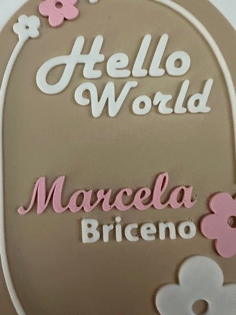 👶Personalized Hello World Birth Announcement Plaque