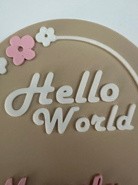 👶Personalized Hello World Birth Announcement Plaque