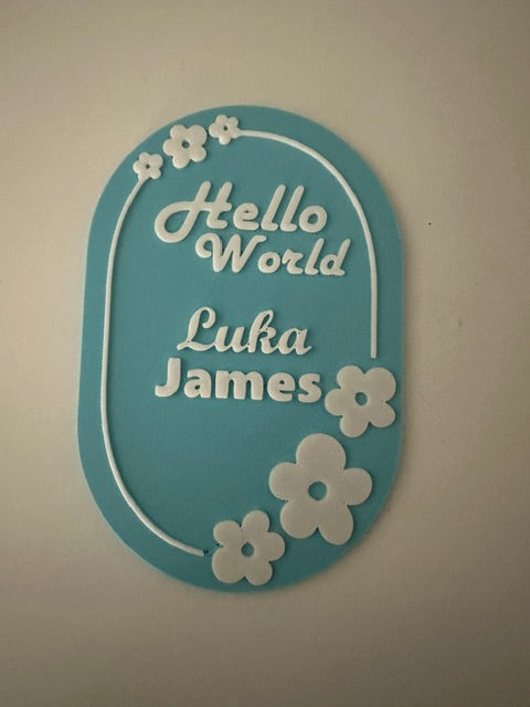 👶Personalized Hello World Birth Announcement Plaque