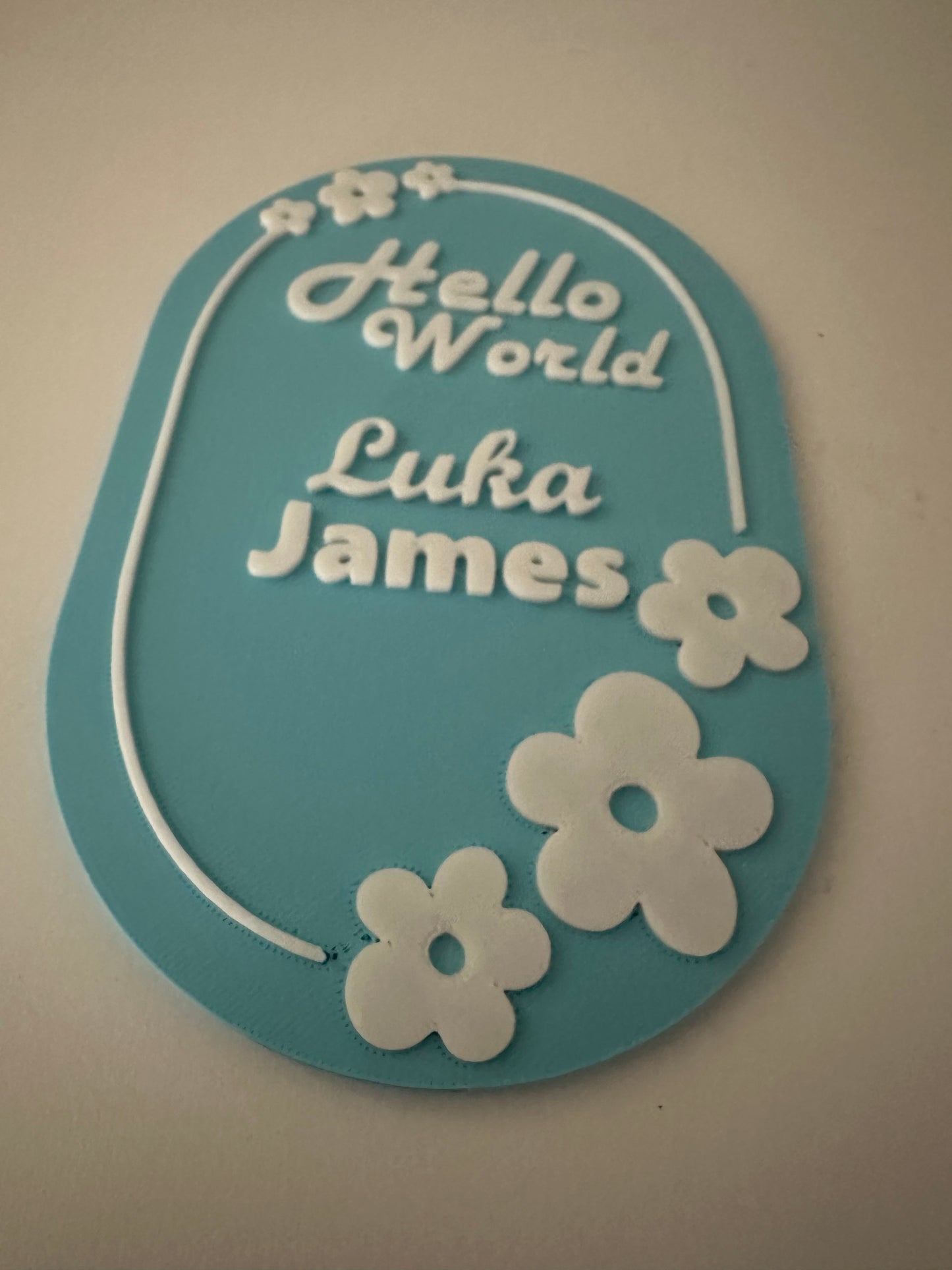 👶Personalized Hello World Birth Announcement Plaque